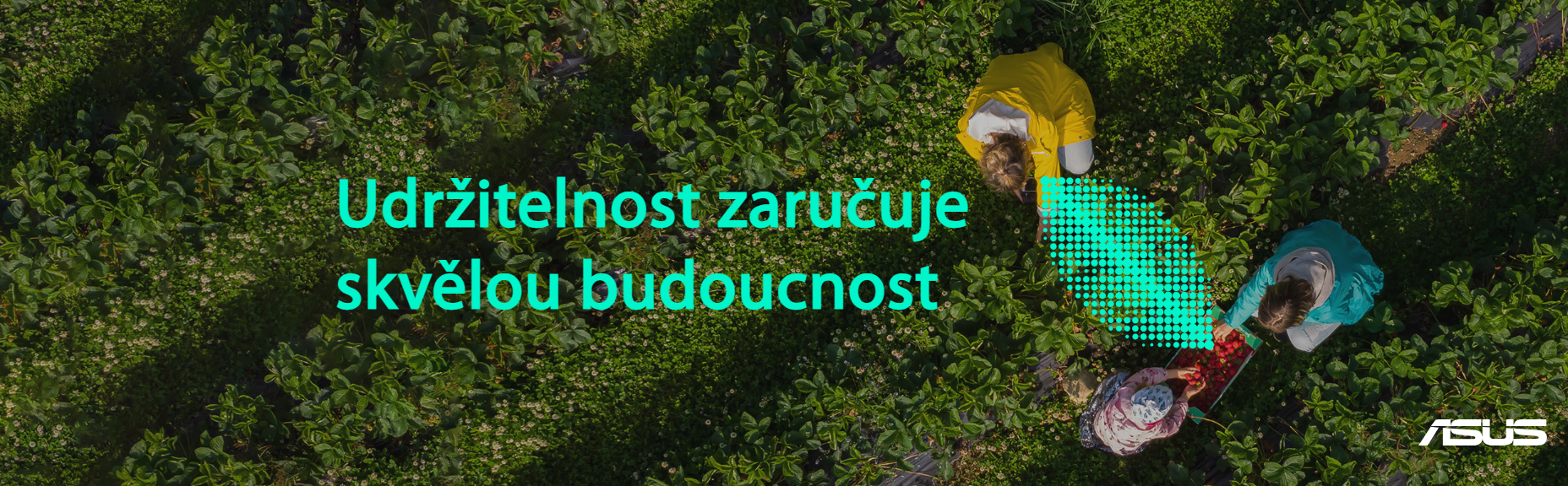 Snímek obrazovky 2026-03-27 115304